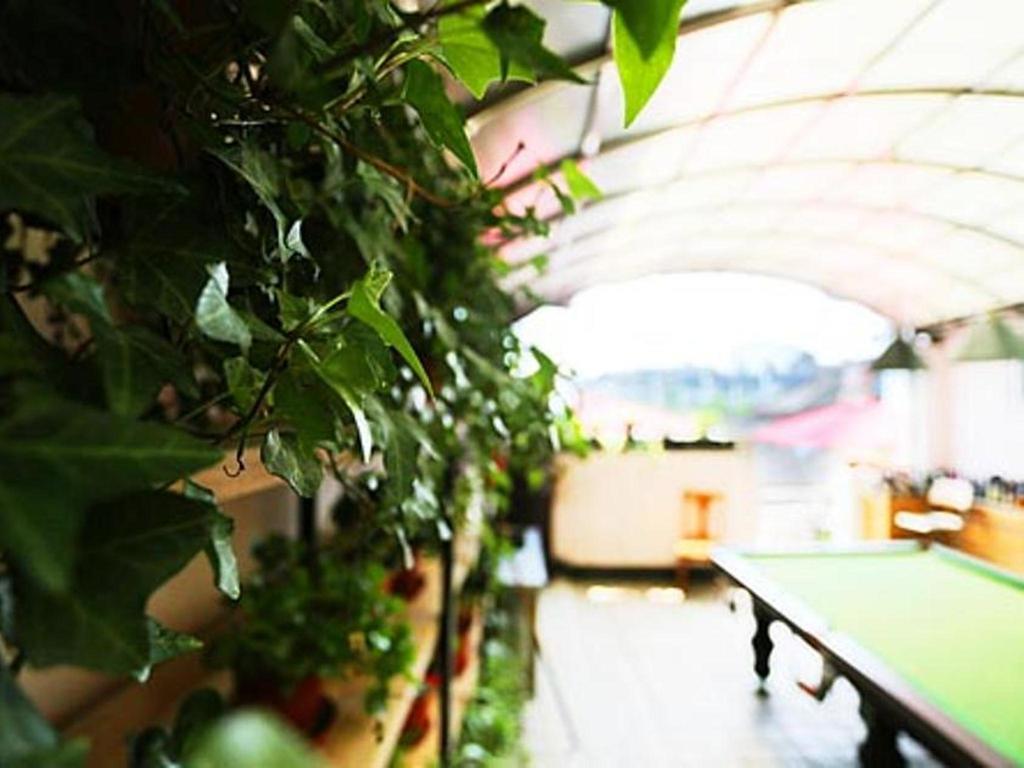 Nanjing Sunflower International Youth Hostel 외부 사진